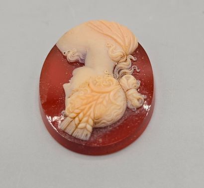 Camée de forme ovale en agate (?) sur fond...