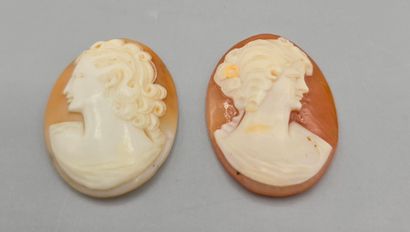 Deux camées de forme ovale sur coquillage,...