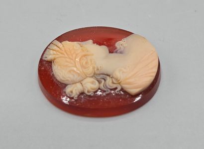 Camée de forme ovale en agate (?) sur fond...