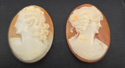 Deux camées de forme ovale sur coquillage,...