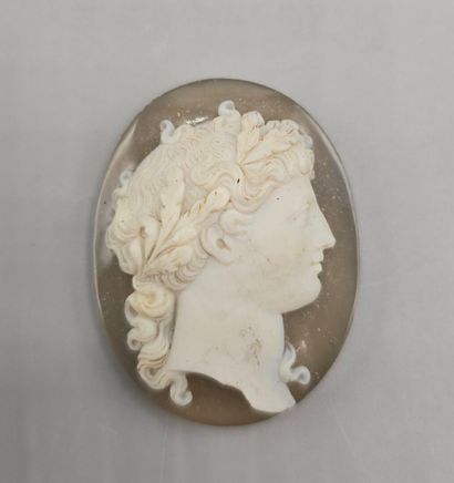 Camée de forme ovale en pierre dure (agate...