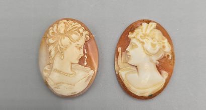 Deux camées sur coquillage de forme ovale,...