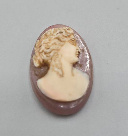Camée de forme oblongue en pierre dure (agate...