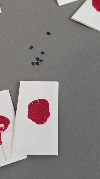 Carton comprenant approximativement 46 saphirs...