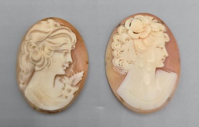 Deux camées de forme ovale sur coquillage...