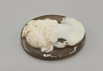 Camée de forme ovale en pierre dure (agate...