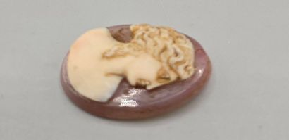 Camée de forme oblongue en pierre dure (agate...