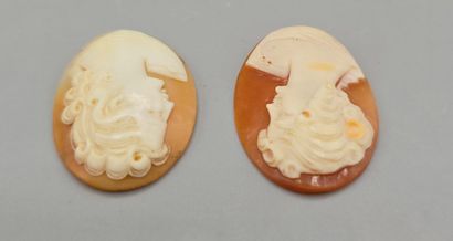 Deux camées de forme ovale sur coquillage,...