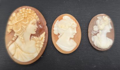 Lot de trois petits camées de forme ovale....