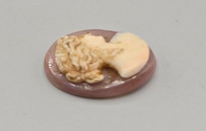 Camée de forme oblongue en pierre dure (agate...