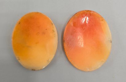 Deux camées de forme ovale sur coquillage...