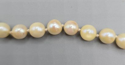 Collier sautoir orné de perles de culture.
Diam....