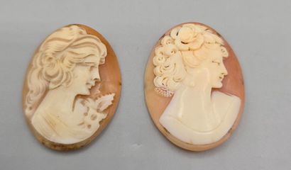 Deux camées de forme ovale sur coquillage...