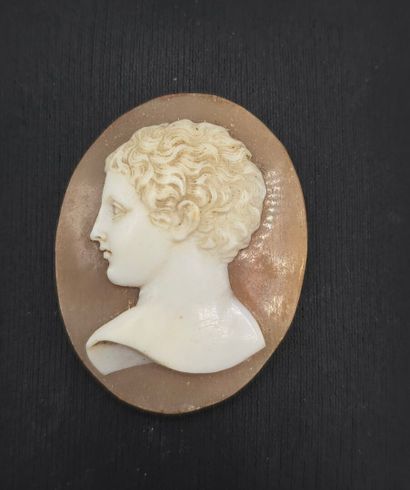 Camée de forme ovale en pierre dure (agate...