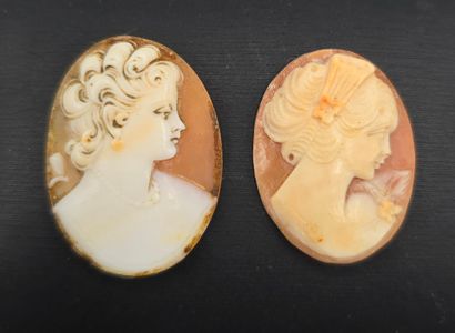 Deux camées de forme ovale, fonds dans les...