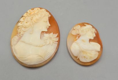Deux camées sur coquillage, fond dans les...