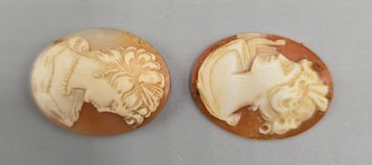 Deux camées sur coquillage de forme ovale,...