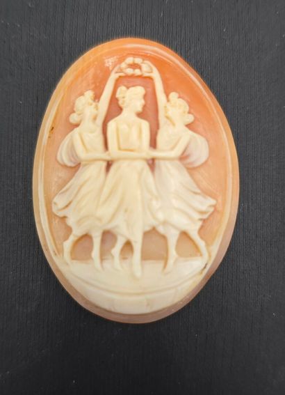 Camée de forme ovale sur coquillage (cornaline...