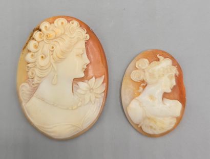 Deux camées sur coquillage, fond dans les...