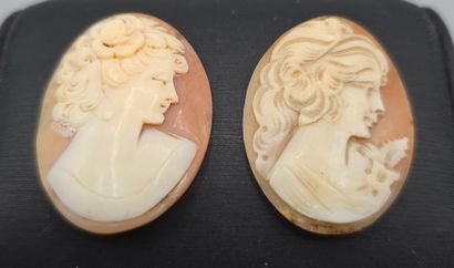 Deux camées de forme ovale sur coquillage...