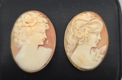 Deux camées de forme ovale sur coquillage...