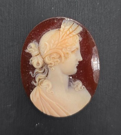 Camée de forme ovale en agate (?) sur fond...