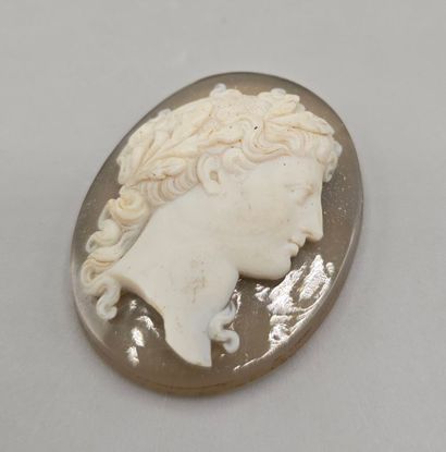Camée de forme ovale en pierre dure (agate...