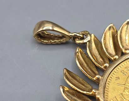 Pièce de 20 francs montée en pendentif.
Pièce...