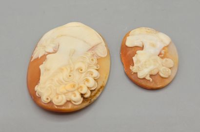 Deux camées sur coquillage, fond dans les...