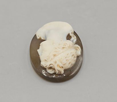 Camée de forme ovale en pierre dure (agate...