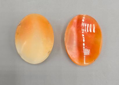Deux camées de forme ovale sur coquillage,...