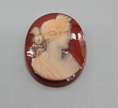 Camée de forme ovale en agate (?) sur fond...