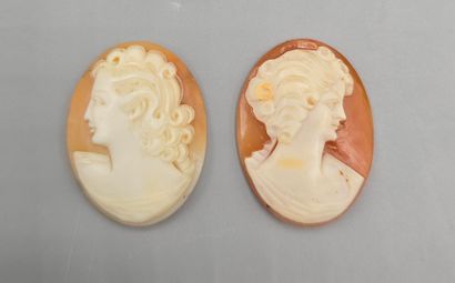 Deux camées de forme ovale sur coquillage,...