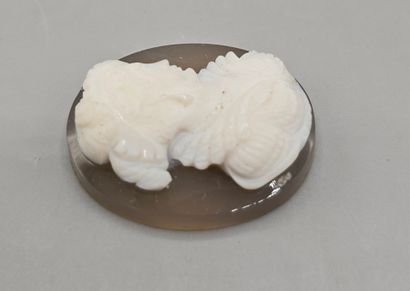 Camée de forme ovale en pierre dure (agate...