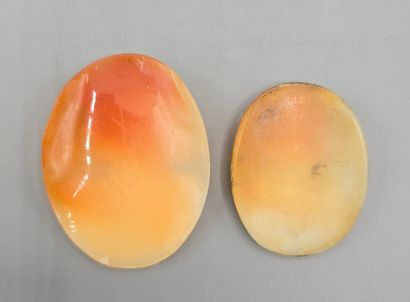 Lot de deux camées de forme ovale sur coquillage...
