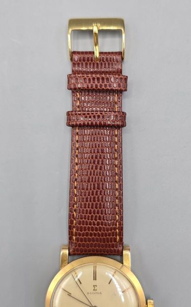 SIGMA, 21 rubis incabloc autmagnétique, SUISSE.
Montre...
