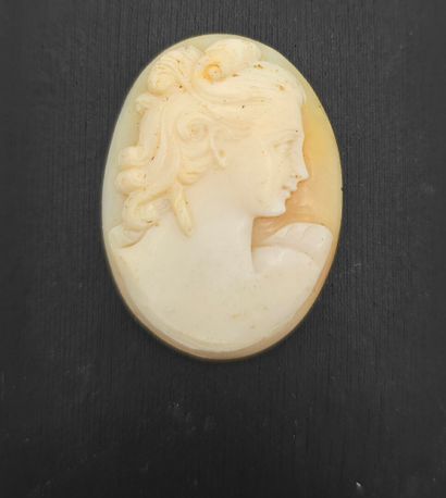 Camée de forme ovale sur coquillage, dans...