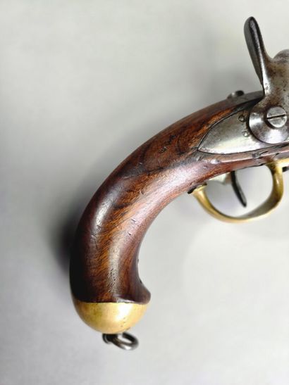 Pistolet d'arçon, modèle 1822 T-BIS.
Chiens...