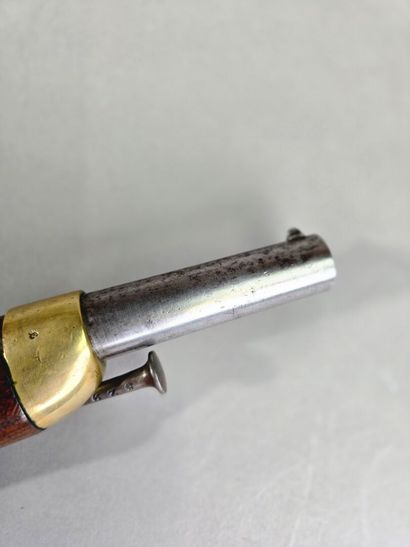 Pistolet d'arçon, modèle 1822 T-BIS.
Chiens...