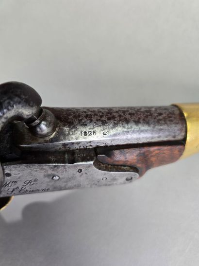 Pistolet d'arçon, modèle 1822 T-BIS.
Chiens...
