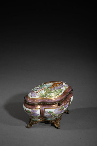 SEVRES dans le style de
Boîte couverte de...