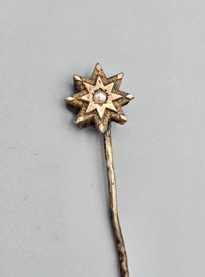 Set of three tie pins: 
- gilt metal tie...