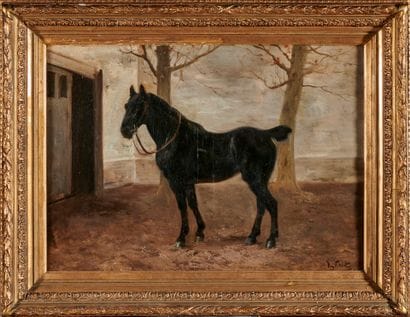 Henri SCHOUTEN (1857/64-1927)

