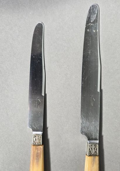 Complete double set of knives with horn handles...