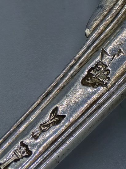 PARIS 1774

Cuillère à sucre en argent, de...