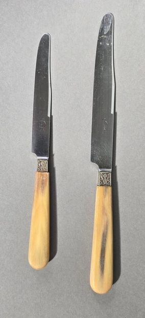 Complete double set of knives with horn handles...