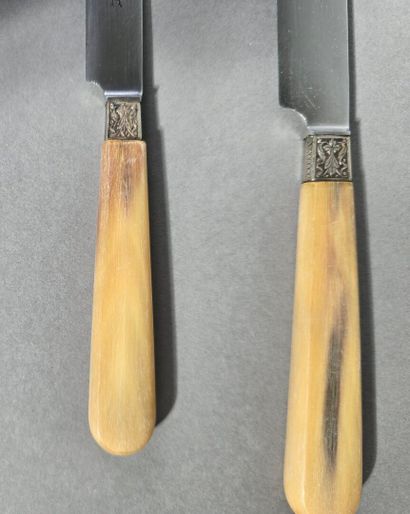 Complete double set of knives with horn handles...