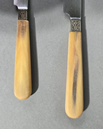 Complete double set of knives with horn handles...