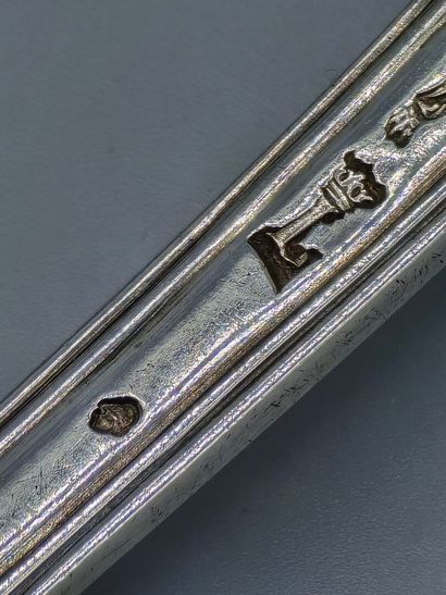 PARIS 1774

Cuillère à sucre en argent, de...