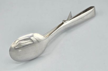 GULDEN Alsace
Metal serving tongs in the...